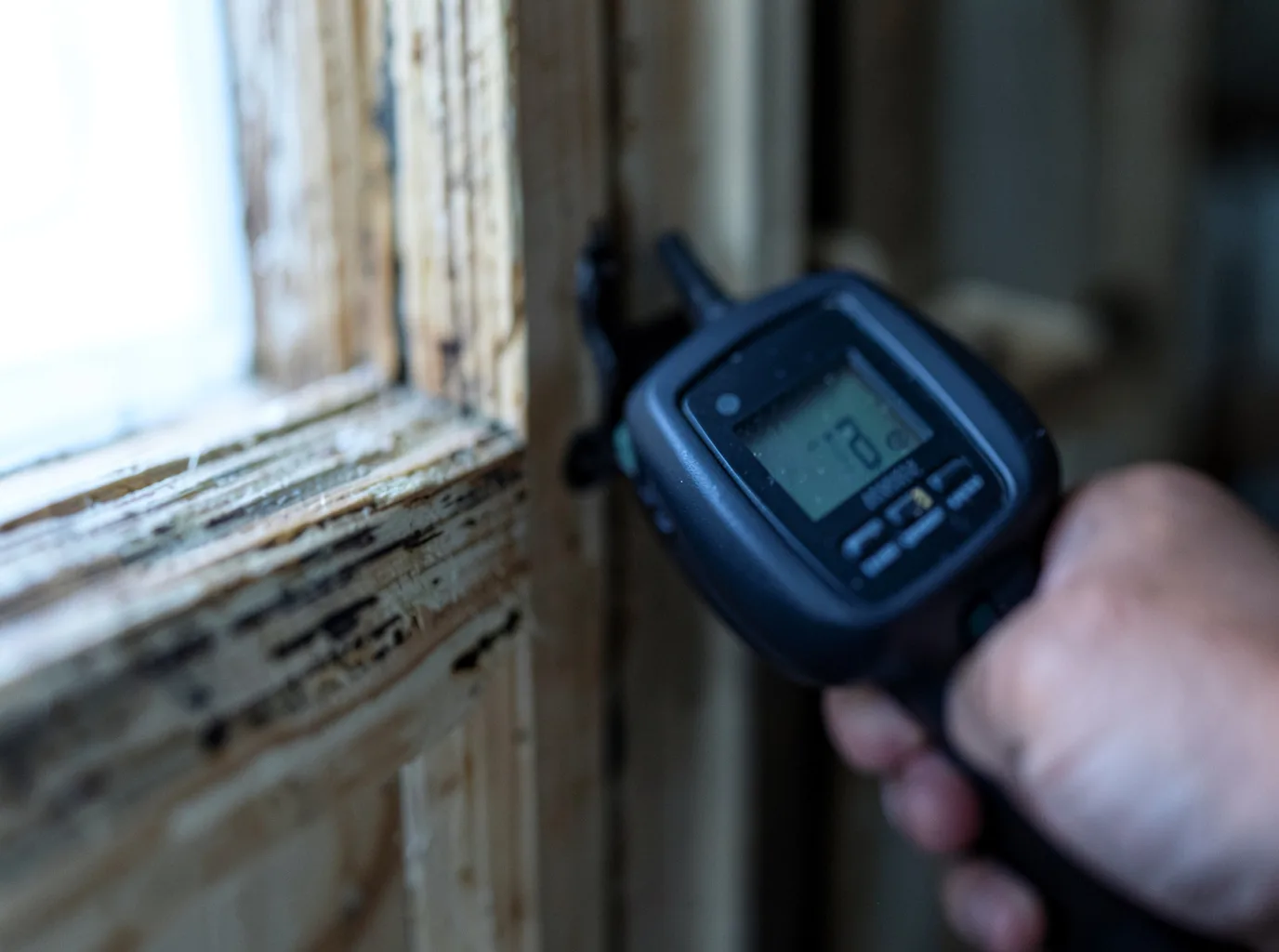 Commercial Water Damage Restoration in Navarro, CA